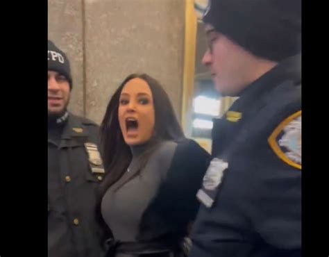 why was lisa ann arrested|Adult film star Lisa Ann 'dragged out' of Matt Rife show in handcuffs.